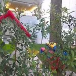 Albatros 3* Lido di Jesolo