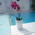 Albatros Hotel 3*